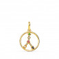 Pendentif Médaille Or 18 Carats 750 Jaune - Constellation Zodiaque Cancer - Chaine Offerte Pendentif Médaille Or 18 Carats 750 Jaune - Constellation Zodiaque Cancer - Chaine Offerte