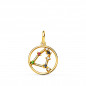 Pendentif Médaille Or 18 Carats 750 Jaune - Constellation Zodiaque Capricorne - Chaine Offerte Pendentif Médaille Or 18 Carats 750 Jaune - Constellation Zodiaque Capricorne - Chaine Offerte
