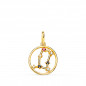 Pendentif Médaille Or 18 Carats 750 Jaune - Constellation Zodiaque Gémeaux - Chaine Offerte Pendentif Médaille Or 18 Carats 750 Jaune - Constellation Zodiaque Gémeaux - Chaine Offerte