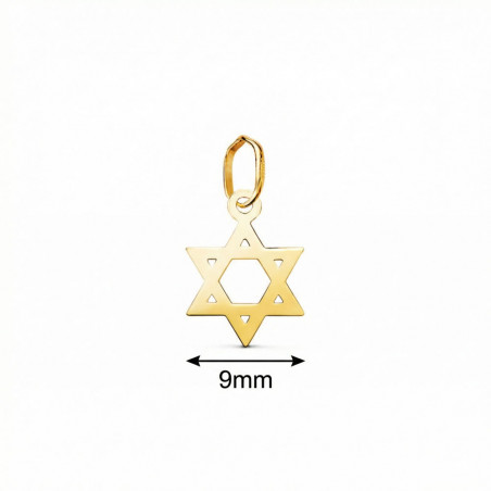 Pendentif Etoile de David Or 18 Carats 750/000 Jaune - Collier Chaine Dorée Offerte
